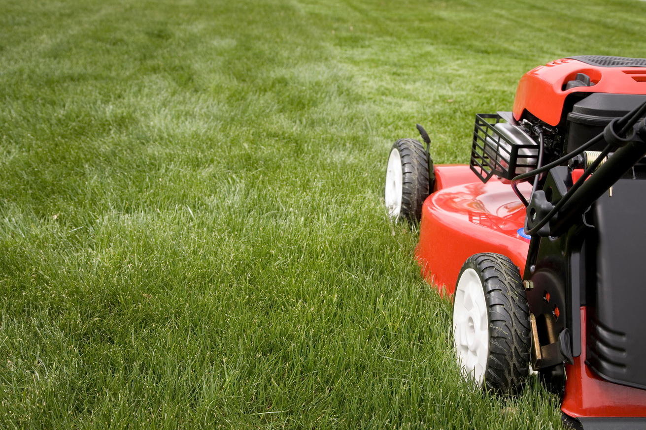 A lawnmower mowing the grass on a lawn