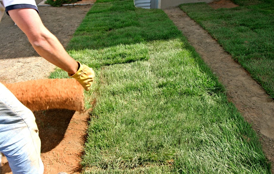 Landscaping - Sod Grass