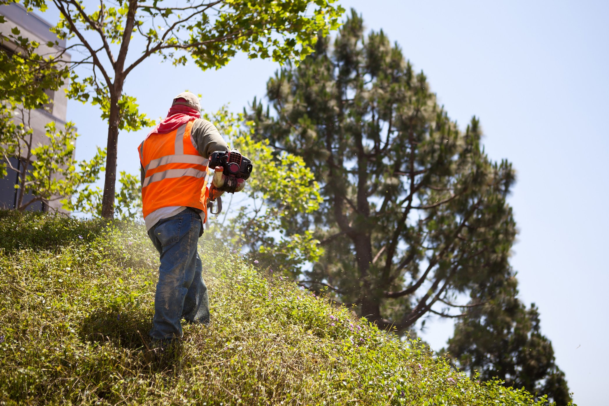 Manual Landscape Worker